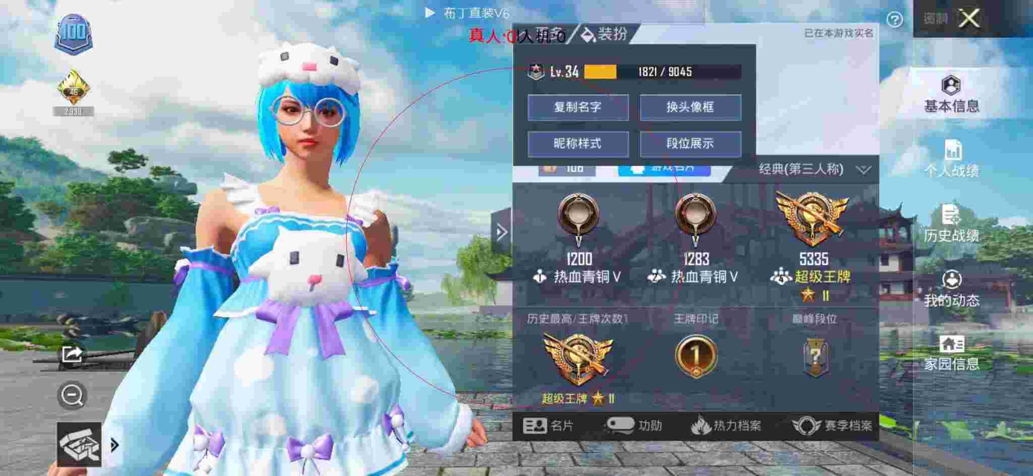 和平精英布丁直装透视 - 和平精英小地图辅助辅助预览图